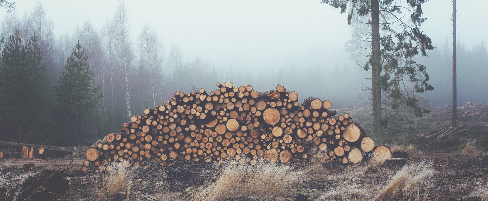 呼叫软件天天呼